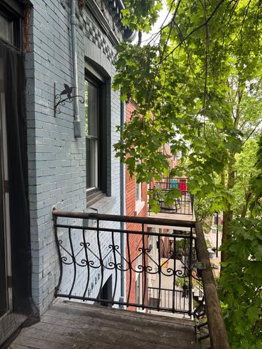 Appartement de 1 chambre à louer à Montreal - Ville-Marie — photo 12