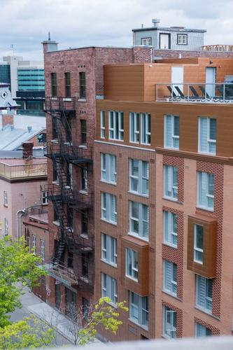Appartement de 1 chambre à louer à Québec - La Cité-Limoilou — photo 14