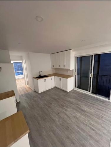 2 bedrooms apartment for rent in Montreal - Le Plateau-Mont-Royal — photo 3