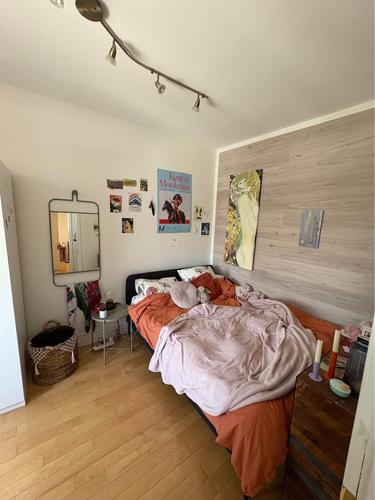 Appartement de 4 chambres à louer à Montreal - Le Plateau-Mont-Royal — photo 5