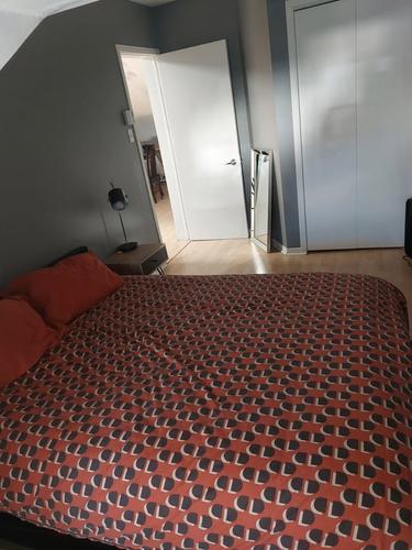 Appartement de 1 chambre à louer à Québec - La Cité-Limoilou — photo 8