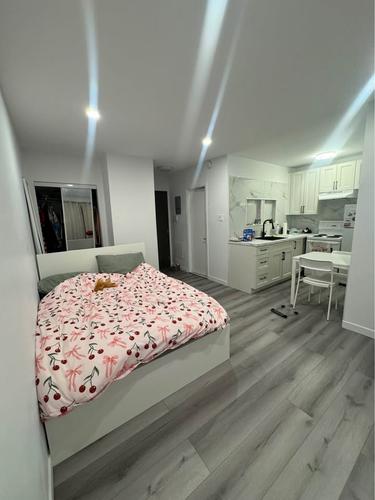 Studio à louer à Montreal - Le Plateau-Mont-Royal — photo 3