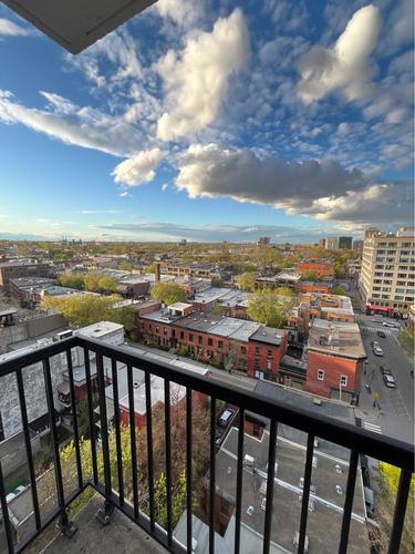 1 bedroom apartment for rent in Montreal - Le Plateau-Mont-Royal — photo 3