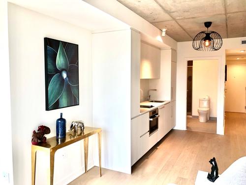 1 bedroom apartment for rent in Montreal - Ville-Marie — photo 10