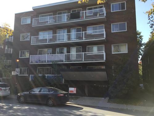 Studio for rent in Montreal - Ahuntsic-Cartierville — photo 5