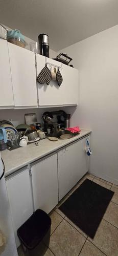 1 bedroom apartment for rent in Montreal - Rosemont–La Petite-Patrie — photo 12