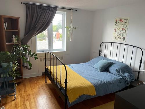 Appartement de 1 chambre à louer à Gatineau — photo 5