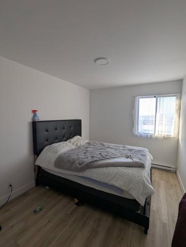 Appartement de 2 chambres à louer à Québec - Sainte-Foy–Sillery–Cap-Rouge — photo 6
