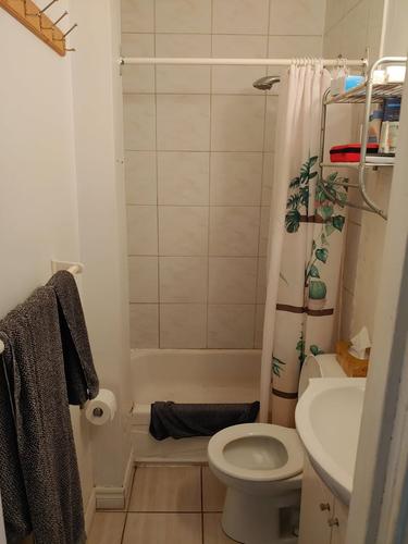 1 bedroom apartment for rent in Montreal - Le Sud-Ouest — photo 4