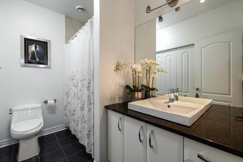 1 bedroom apartment for rent in Gatineau — photo 9