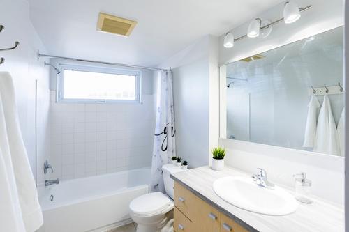 Appartement de 2 chambres à louer à Québec - La Cité-Limoilou — photo 5