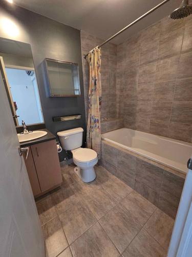 1 bedroom apartment for rent in Montreal - Ville-Marie — photo 12