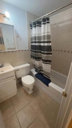 Studio à louer à Québec - Sainte-Foy–Sillery–Cap-Rouge — photo 4