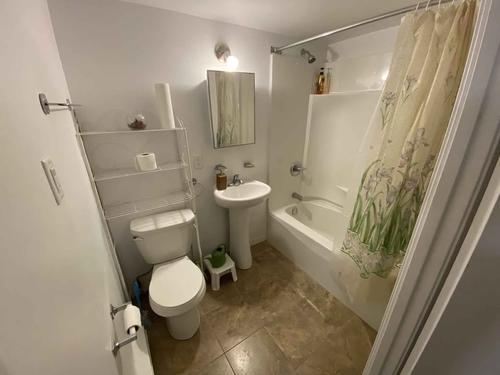 1 bedroom apartment for rent in Montreal - Le Sud-Ouest — photo 11