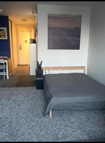 1 bedroom apartment for rent in Montreal - Ville-Marie — photo 4