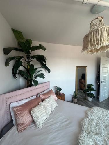 2 bedrooms apartment for rent in Lévis — photo 6