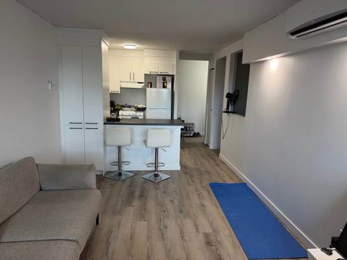Appartement de 1 chambre à louer à Gatineau — photo 7