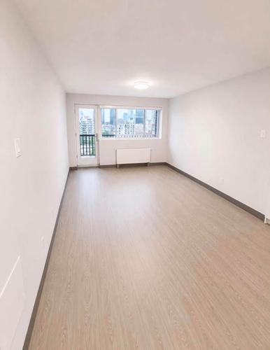 1 bedroom apartment for rent in Montreal - Le Plateau-Mont-Royal — photo 3