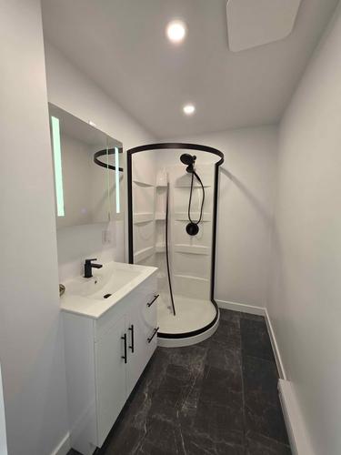 1 bedroom apartment for rent in Montreal - Villeray–Saint-Michel–Parc-Extension — photo 8