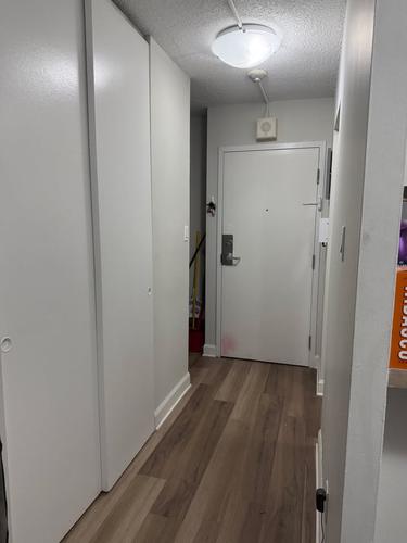 Studio for rent in Montreal - Le Plateau-Mont-Royal — photo 6