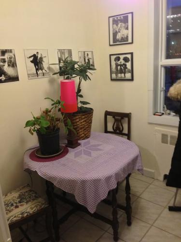 Appartement de 1 chambre à louer à Gatineau — photo 7