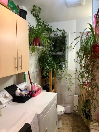 Studio à louer à Montreal - Le Plateau-Mont-Royal — photo 8