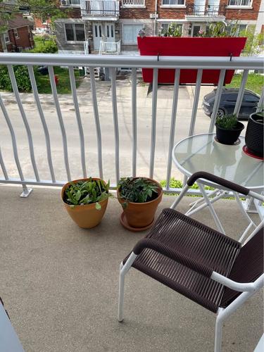 1 bedroom apartment for rent in Montreal - Villeray–Saint-Michel–Parc-Extension — photo 13