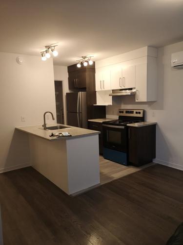 Appartement de 1 chambre à louer à Gatineau — photo 2