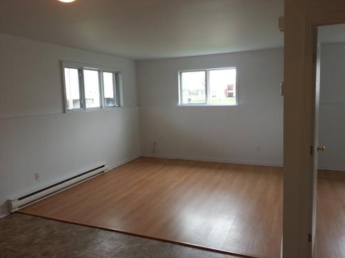 Appartement de 1 chambre à louer à Gatineau — photo 3
