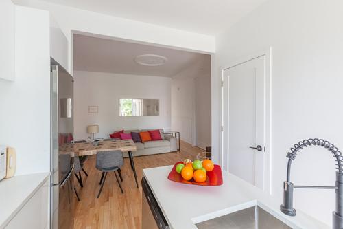 1 bedroom apartment for rent in Montreal - Le Plateau-Mont-Royal — photo 2