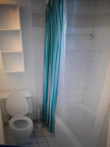 1 bedroom apartment for rent in Montreal - Le Plateau-Mont-Royal — photo 7