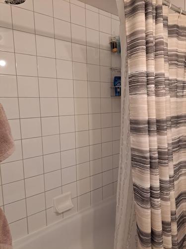 Appartement de 1 chambre à louer à Lévis — photo 8