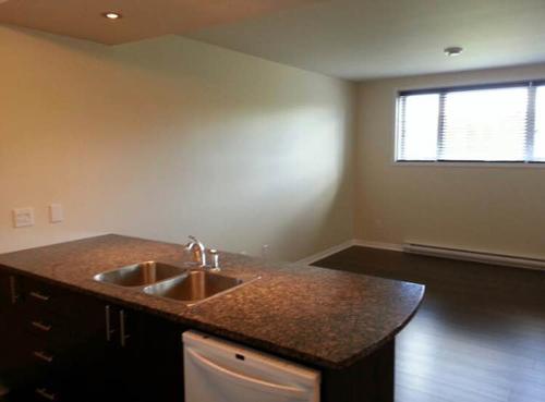 Appartement de 1 chambre à louer à Gatineau — photo 4