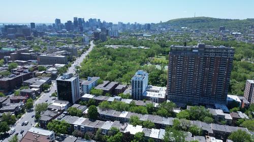 1 bedroom apartment for rent in Montreal - Ville-Marie — photo 9