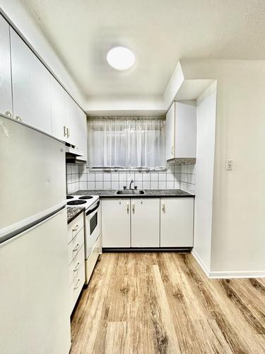 1 bedroom apartment for rent in Montreal - Le Plateau-Mont-Royal — photo 2