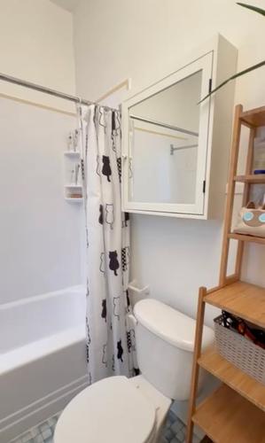 1 bedroom apartment for rent in Montreal - Le Plateau-Mont-Royal — photo 4