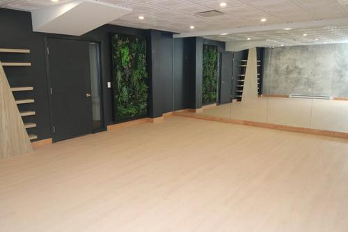 Appartement de 2 chambres à louer à Québec - La Cité-Limoilou — photo 10