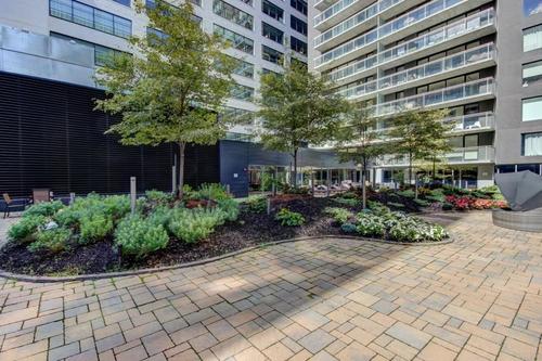 1 bedroom apartment for rent in Montreal - Ville-Marie — photo 6