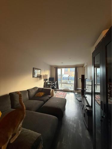 Appartement de 1 chambre à louer à Montreal - Ville-Marie — photo 6
