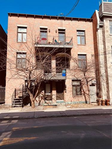 4 bedrooms apartment for rent in Montreal - Le Plateau-Mont-Royal — photo 13