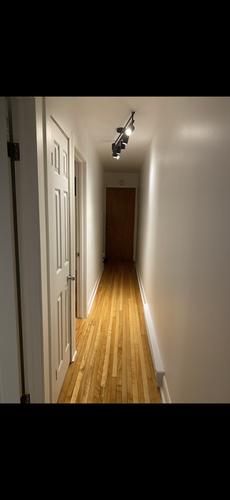 1 bedroom apartment for rent in Montreal - Rosemont–La Petite-Patrie — photo 3
