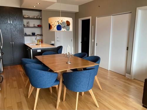 1 bedroom apartment for rent in Montreal - Rosemont–La Petite-Patrie — photo 11
