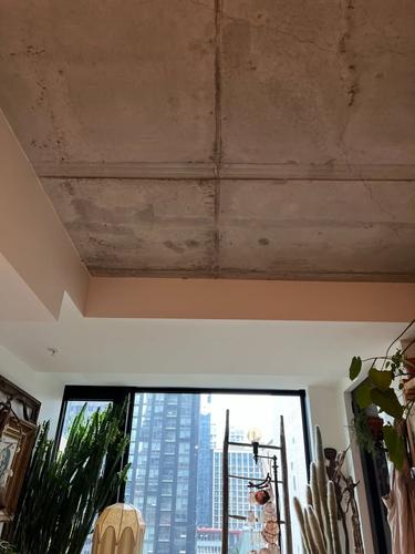 Appartement de 1 chambre à louer à Montreal - Ville-Marie — photo 4