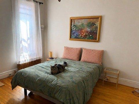 1 bedroom apartment for rent in Montreal - Le Plateau-Mont-Royal — photo 2
