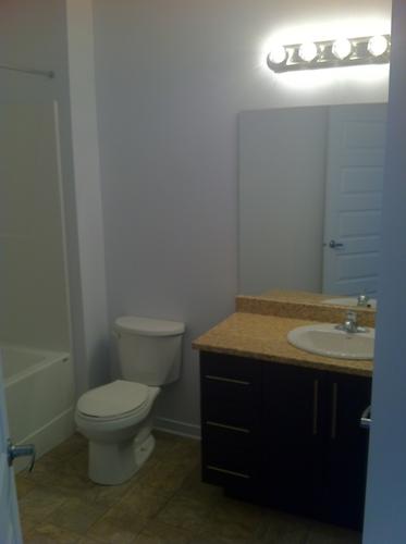Appartement de 1 chambre à louer à Gatineau — photo 4