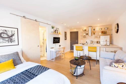 1 bedroom apartment for rent in Montreal - Le Plateau-Mont-Royal — photo 3