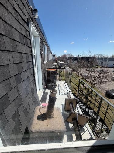 Appartement de 3 chambres à louer à Longueuil — photo 11