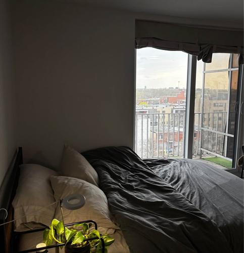 1 bedroom apartment for rent in Montreal - Rosemont–La Petite-Patrie — photo 8