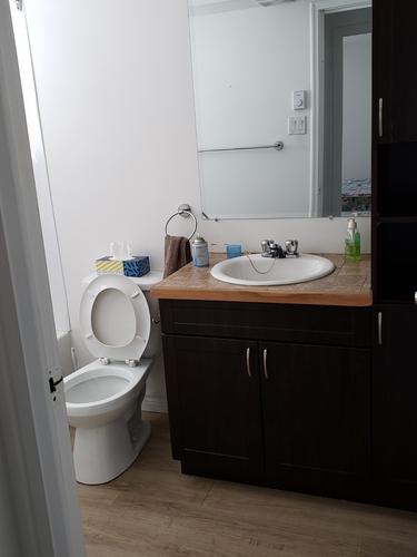 1 bedroom apartment for rent in Lévis — photo 5