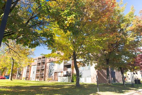 2 bedrooms apartment for rent in Lévis — photo 10